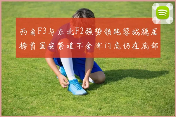 西南F3与东北F2强势领跑蓉城稳居榜首国安紧追不舍津门虎仍在底部挣扎